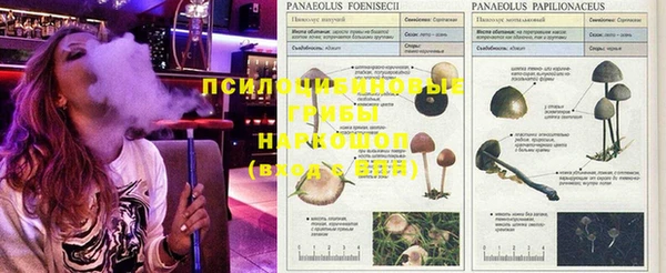 кокаин колумбия Нязепетровск