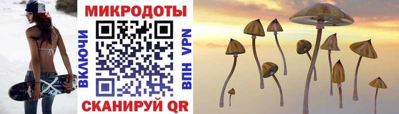 Псилоцибиновые грибы Magic Shrooms  купить  цена  Петровск 