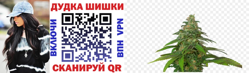 Бошки марихуана индика  где продают наркотики  Петровск 