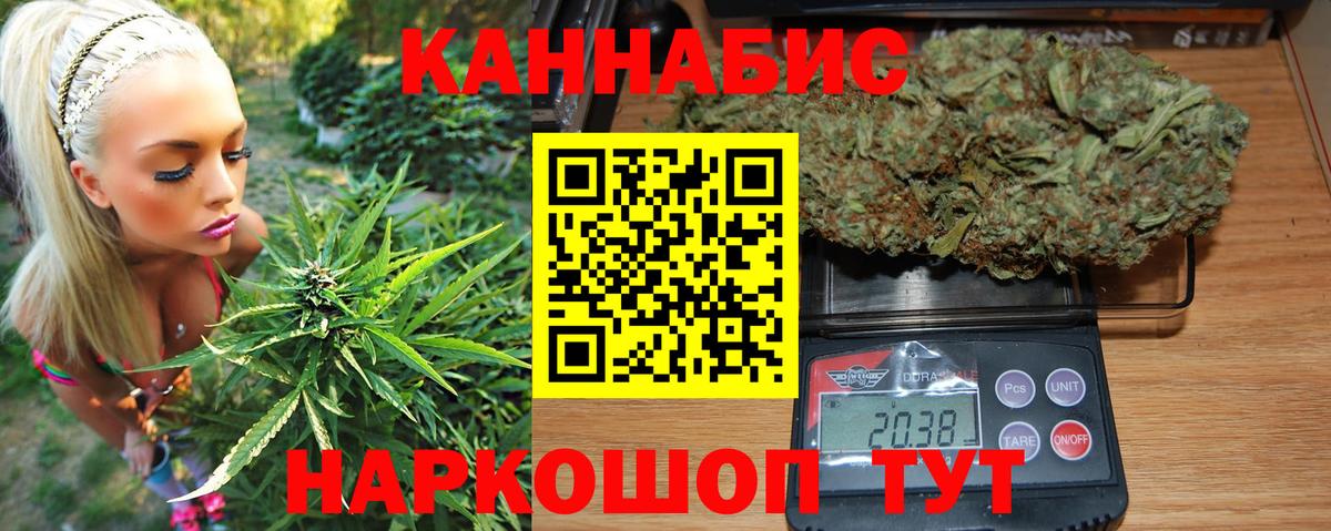 Петровск  Конопля White Widow  Каннабис тримм  Шишки марихуана марихуана  Вход с VPN 